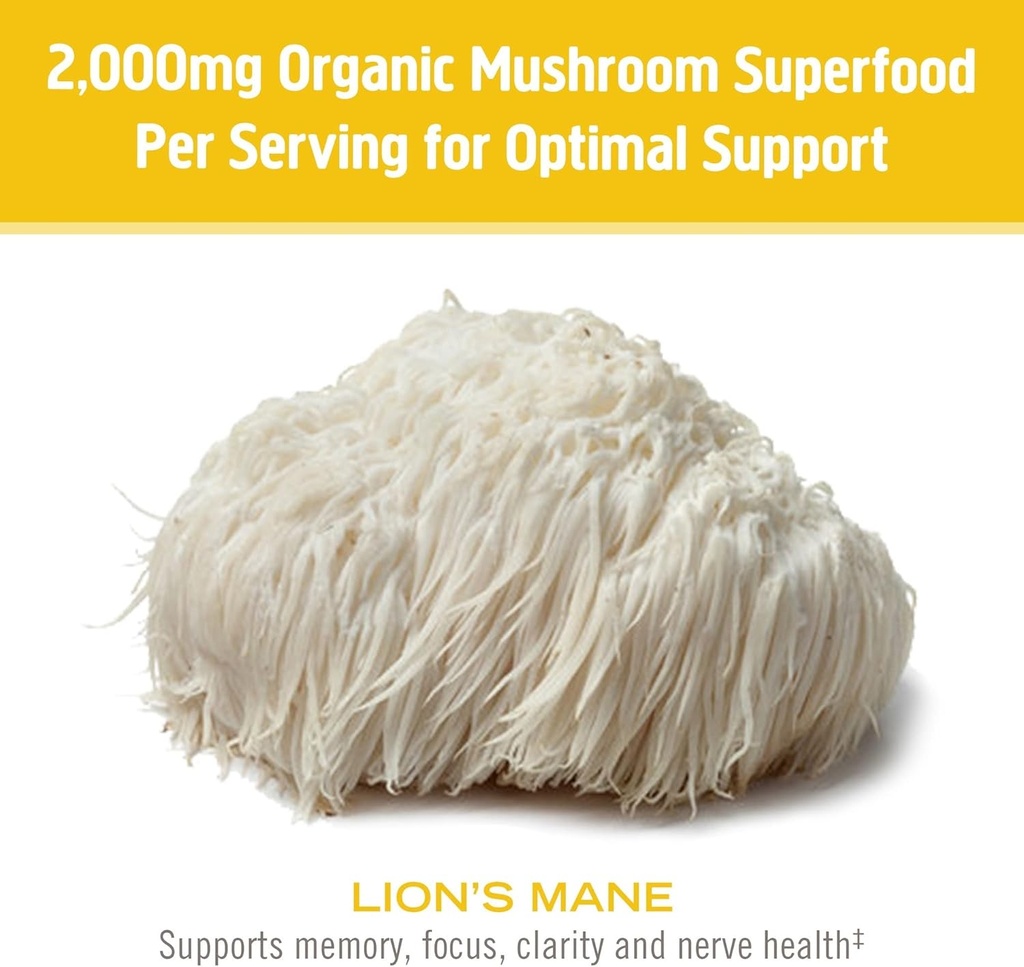 om-mushroom-lions-mane-organic-mushroom--6.jpg