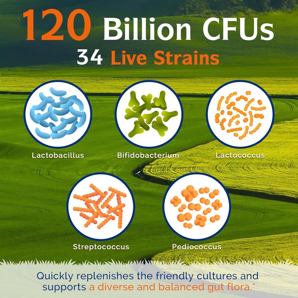 innate-vitality-probiotics-120-billion-c-3.jpg