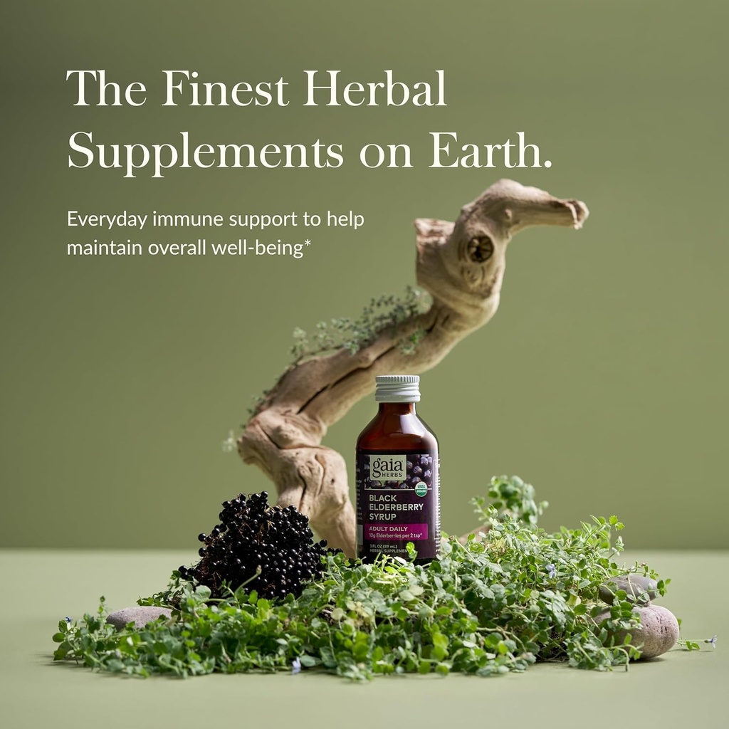 gaia-herbs-black-elderberry-sambucus-nig-2.jpg