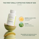 glisodin-skin-nutrients-the-antioxidant--3.jpg