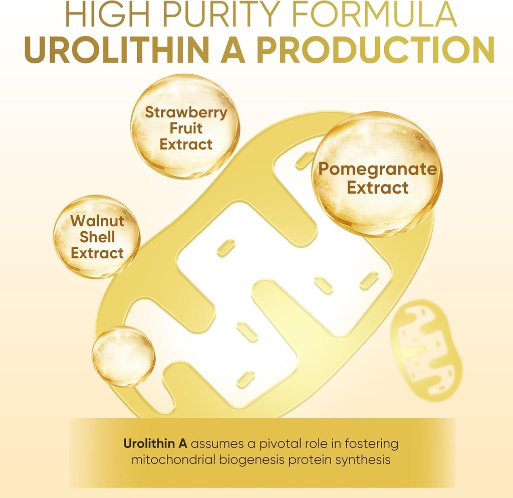 3000-mg-urolithin-a-supplement---120-cap-4.jpg