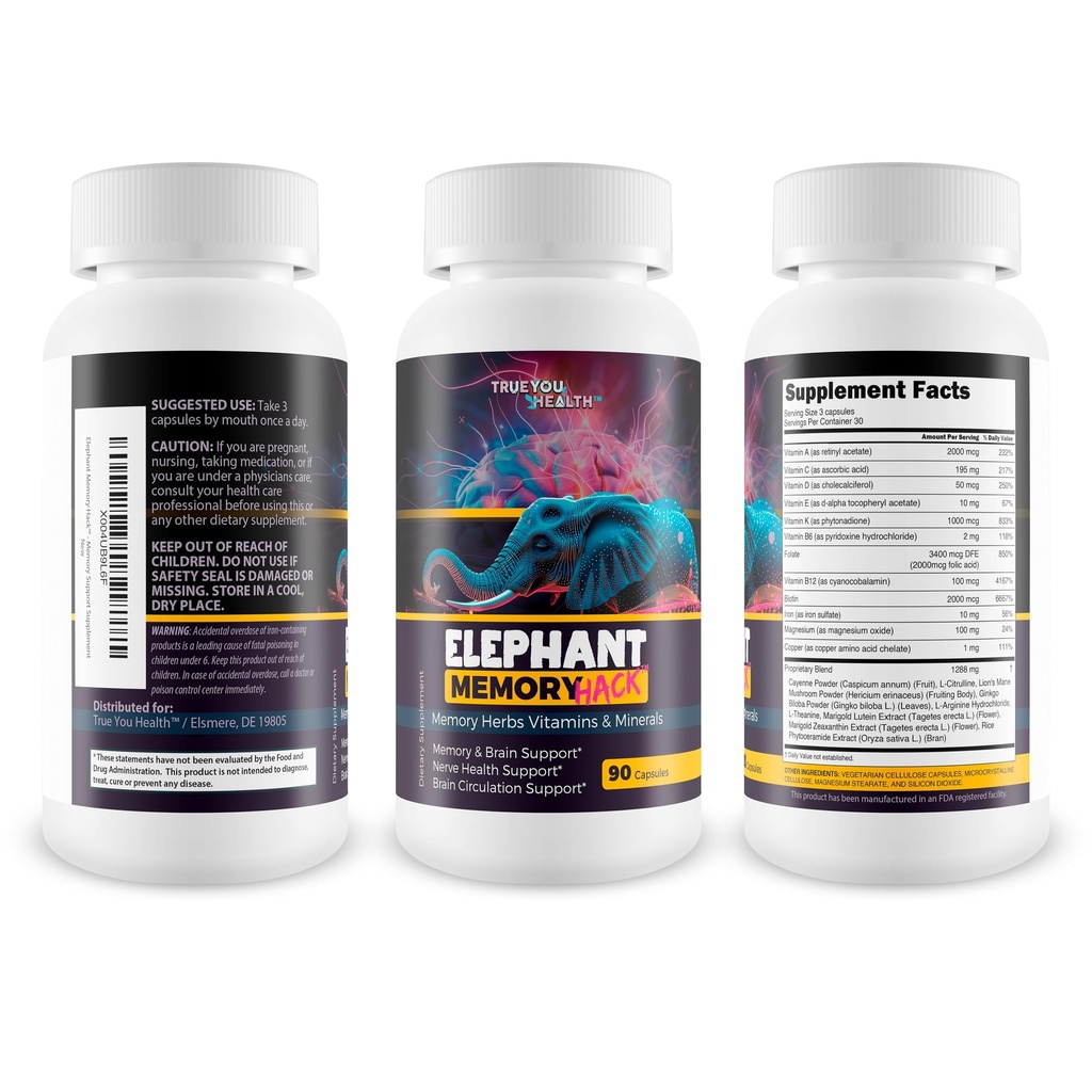 elephant-memory-hack-our-best-brain-supp-2.jpg