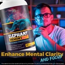 elephant-memory-hack-our-best-brain-supp-3.jpg