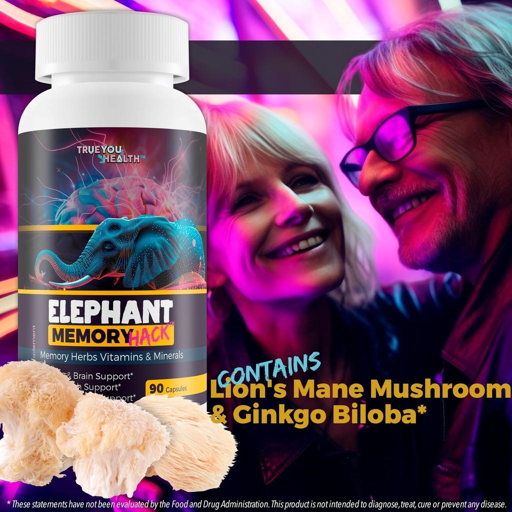 elephant-memory-hack-our-best-brain-supp-4.jpg