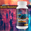 elephant-memory-hack-our-best-brain-supp-5.jpg