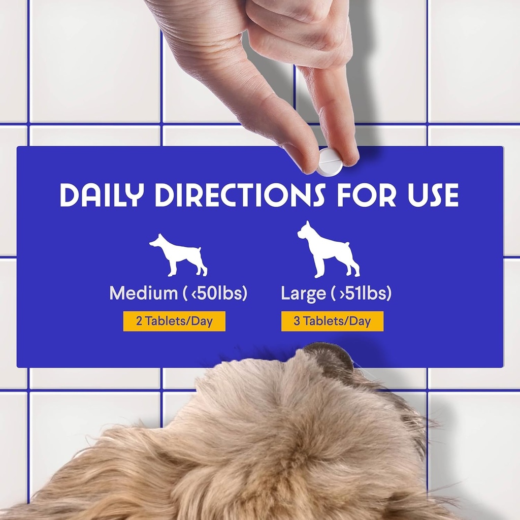 b12-supplement-for-dogs-vitamin-b-12-for-5.jpg