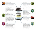 holistic-health-labs-vision-alive-max-wi-4.jpg