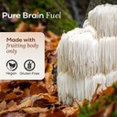 lions-mane-mushroom-gummies-for-focus-an-5.jpg