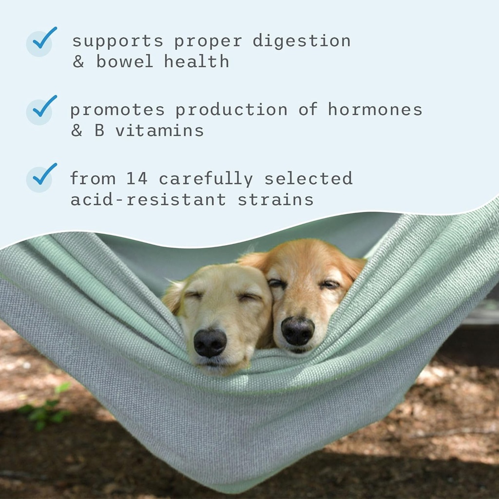 dr-mercola-complete-probiotics-for-cats--5.jpg
