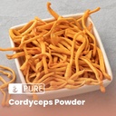 pure-original-ingredients-cordyceps-8oz--3.jpg