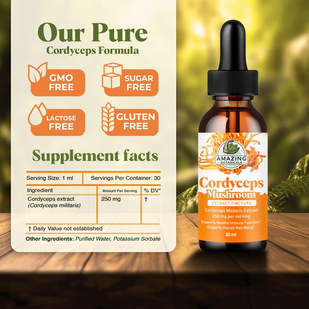 cordyceps-mushroom-extract-fruiting-body-2.jpg