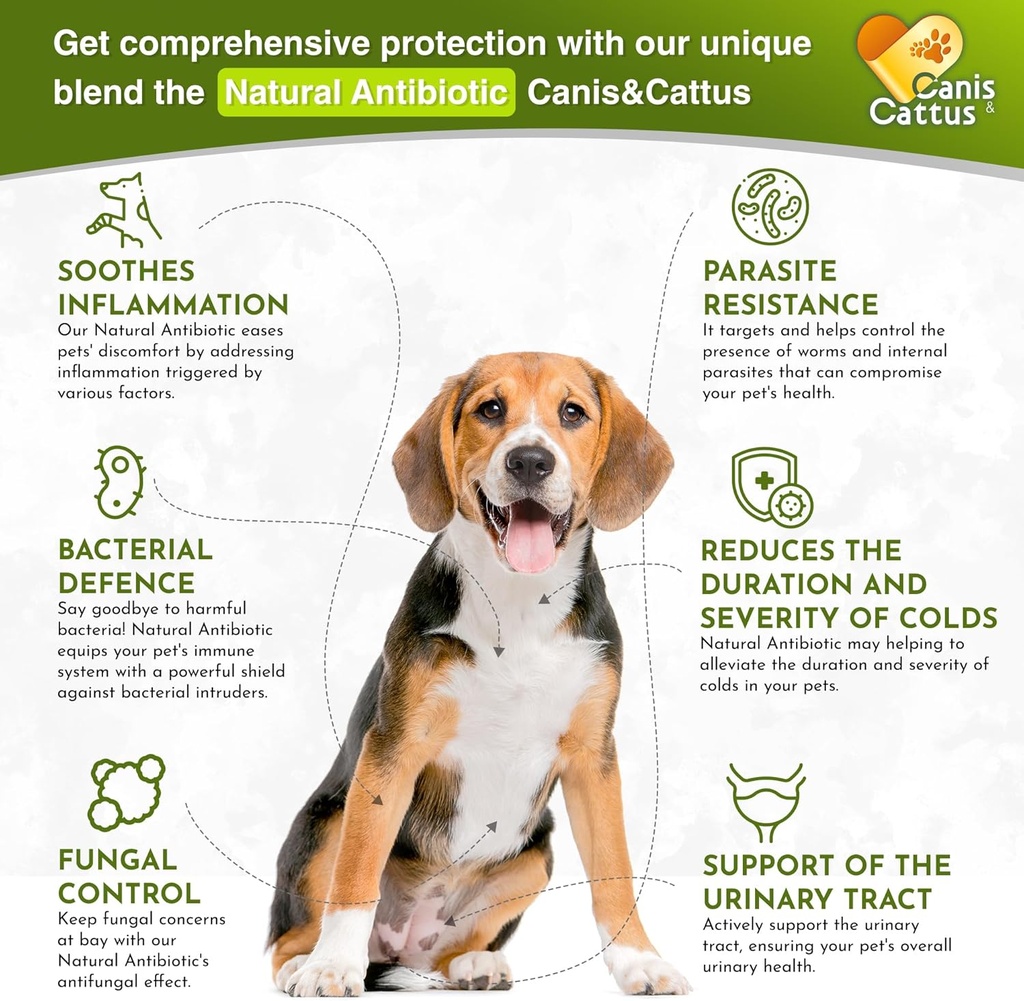 caniscattus-natural-antibiotic-for-dogs--2.jpg