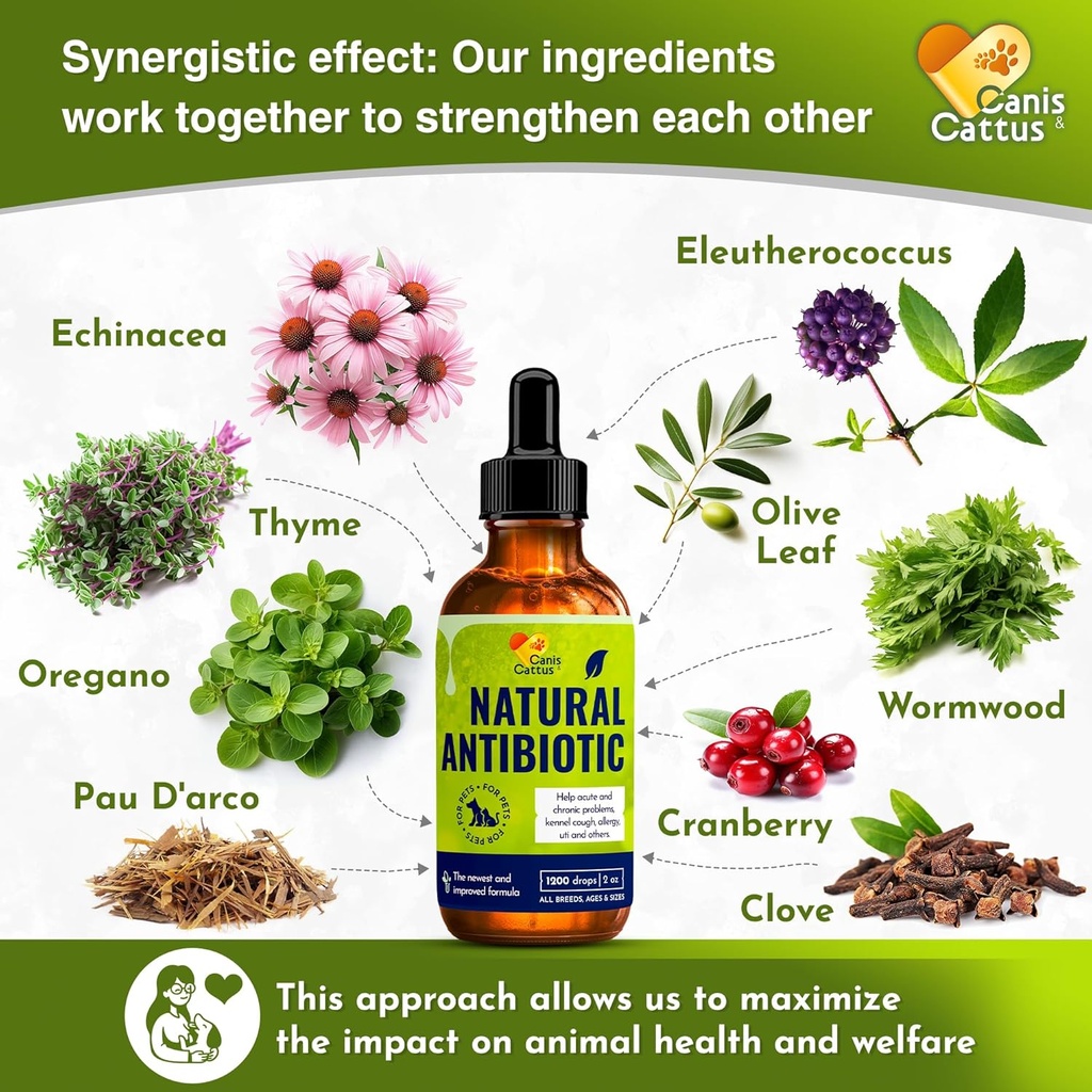 caniscattus-natural-antibiotic-for-dogs--3.jpg