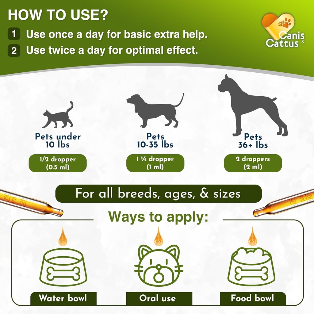 caniscattus-natural-antibiotic-for-dogs--4.jpg