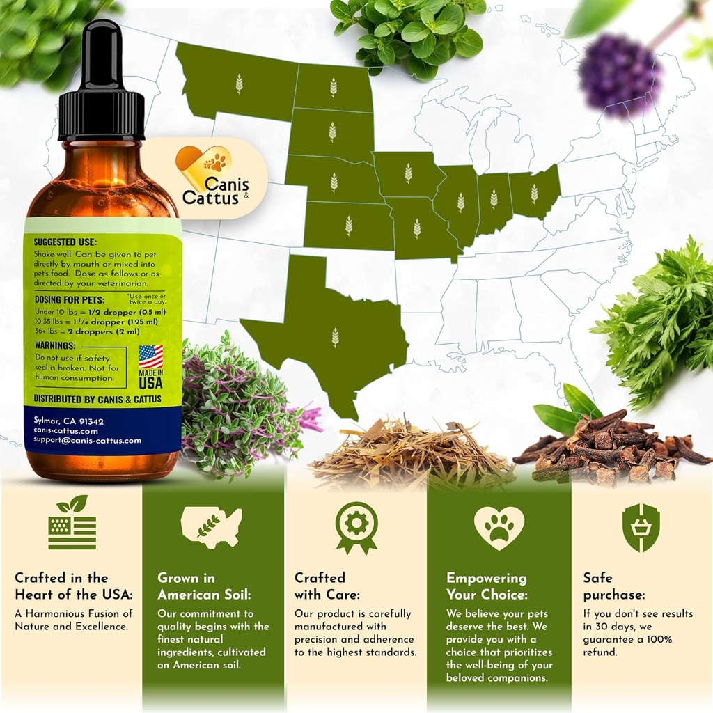 caniscattus-natural-antibiotic-for-dogs--5.jpg