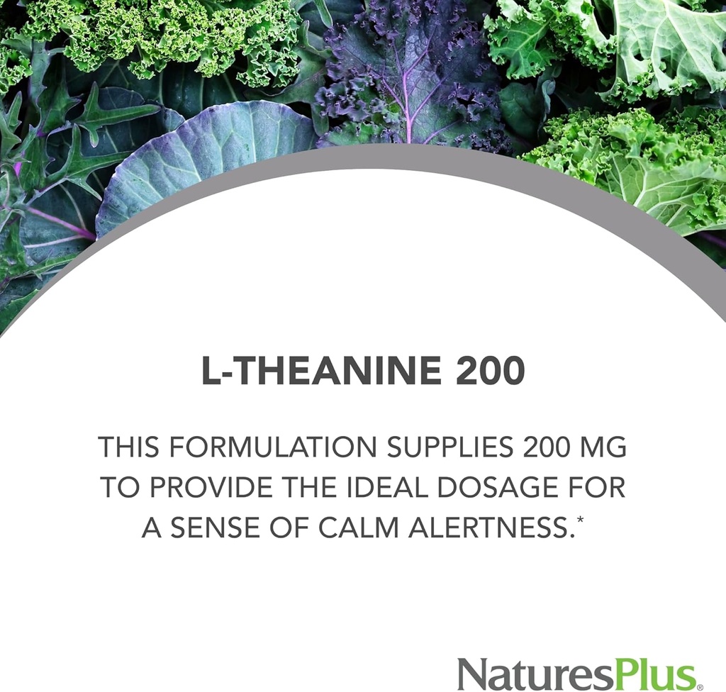 natures-plus-pro-l-theanine---60-capsule-2.jpg