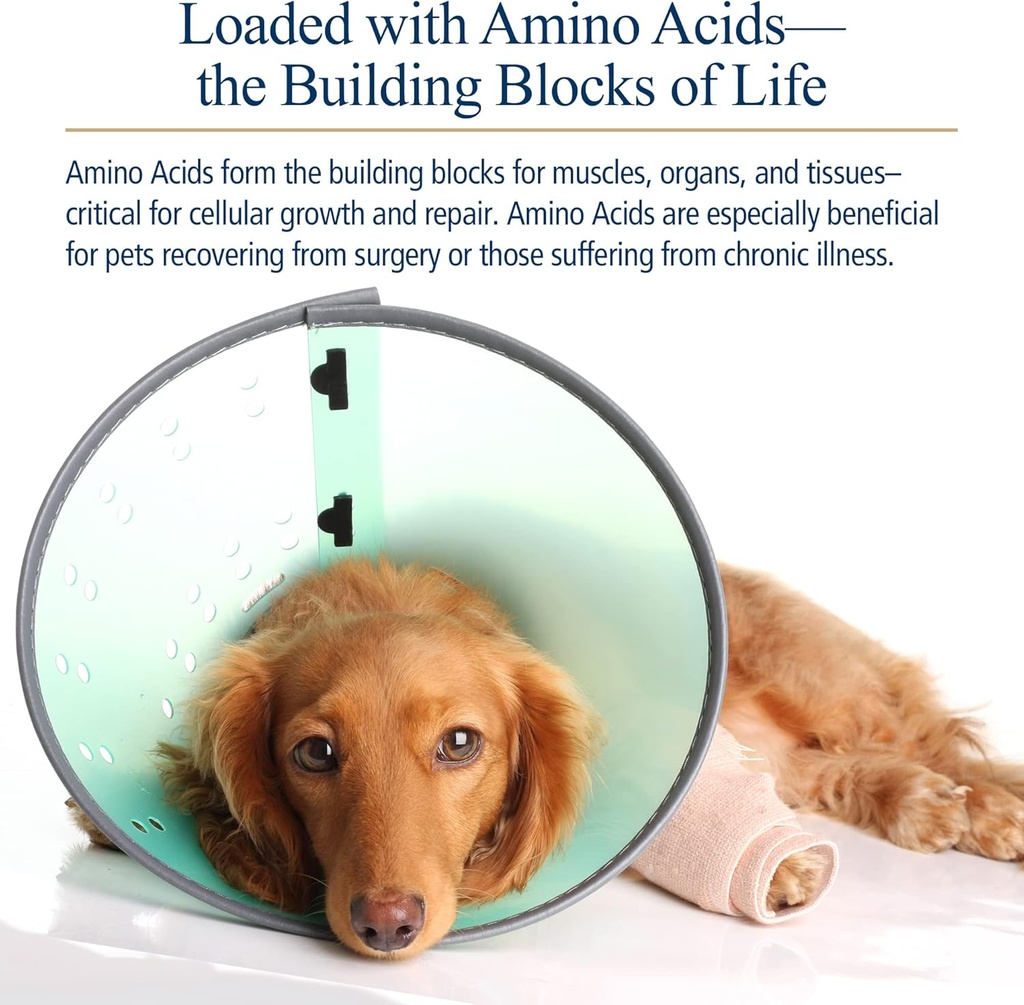 rx-vitamins-amino-b-plex-for-pets---b-vi-4.jpg