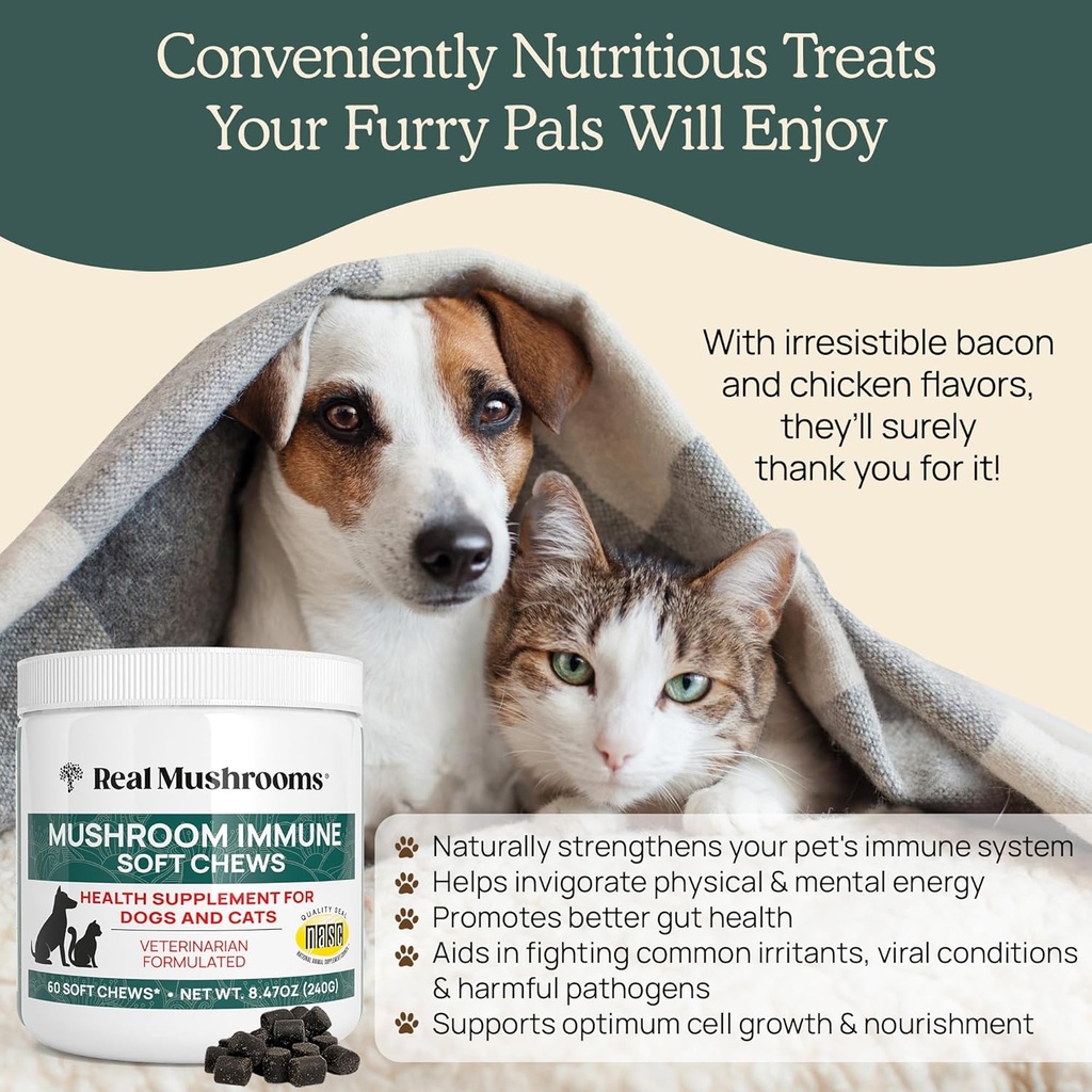 real-mushrooms-soft-chews-for-pets-funct-6.jpg
