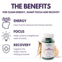 pre-workout-supplement-focus-performance-2.jpg