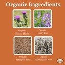 birth-song-botanicals-let-there-be-milk--6.jpg