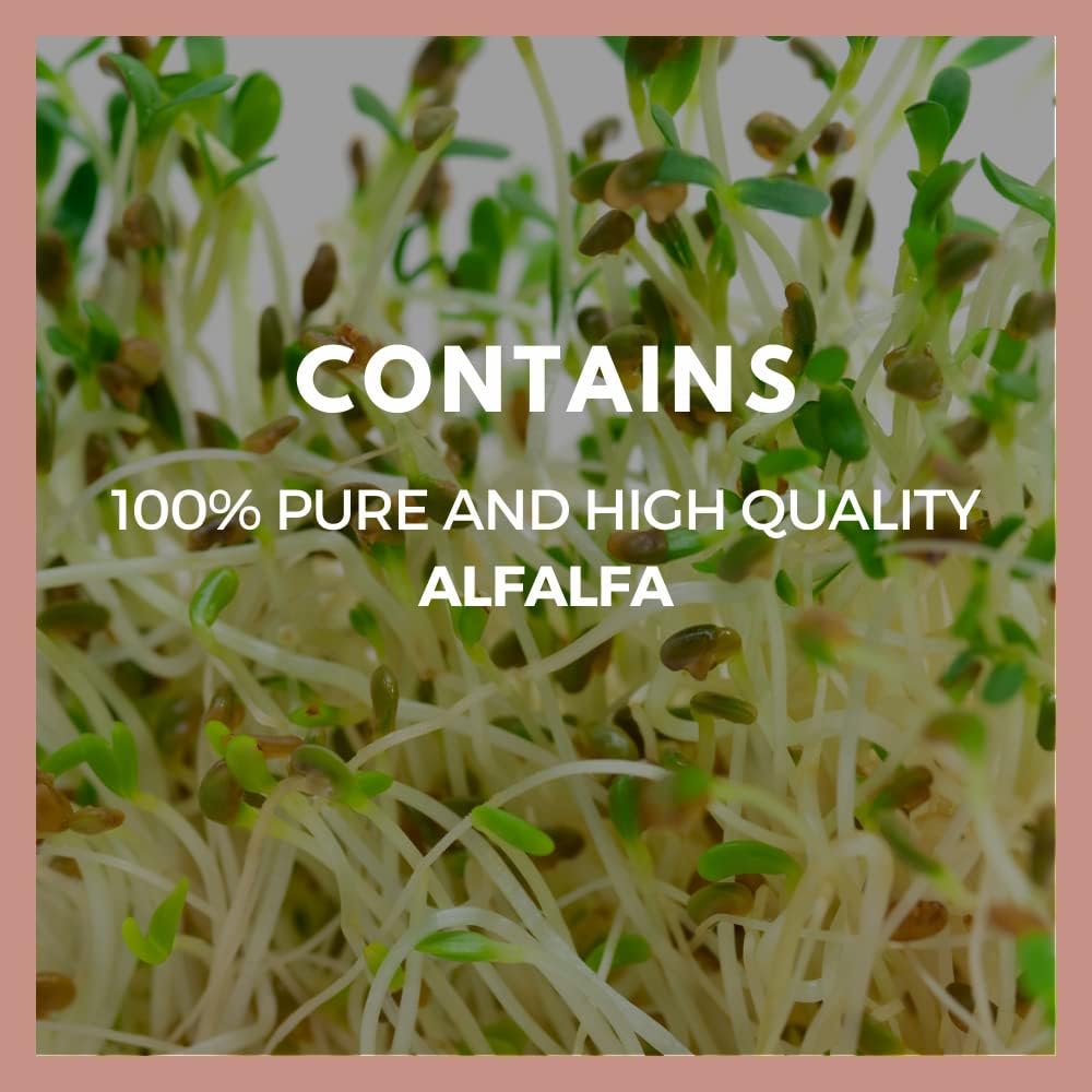 alfalfa---1000-mg-60-vegan-capsules-herb-4.jpg