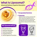 liposomal-saffron-drops-for-kids-organic-2.jpg