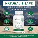 Palmitoylethanolamide Pea Supplement 600mg - Micronized Pea Supplements 99% - 2 Months Supply - Advanced Natural Support for Joint Comfort