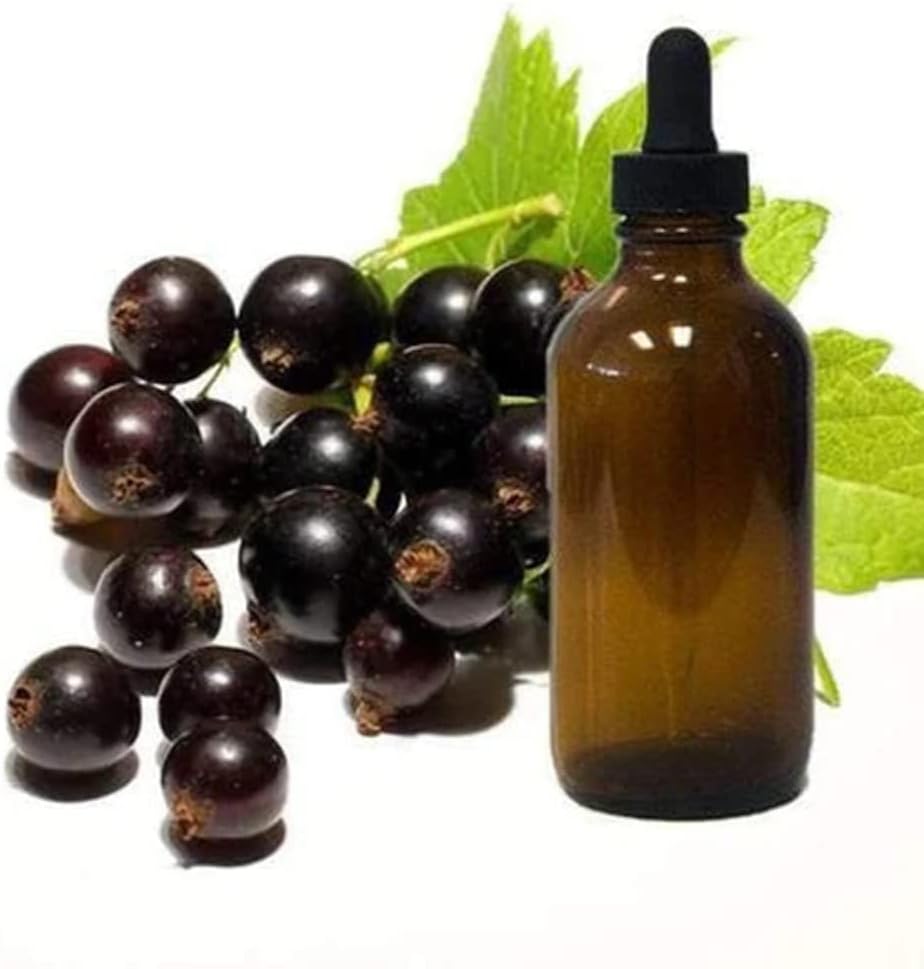 Black Currant Seed Oil 1oz Glass Dropper Bottle