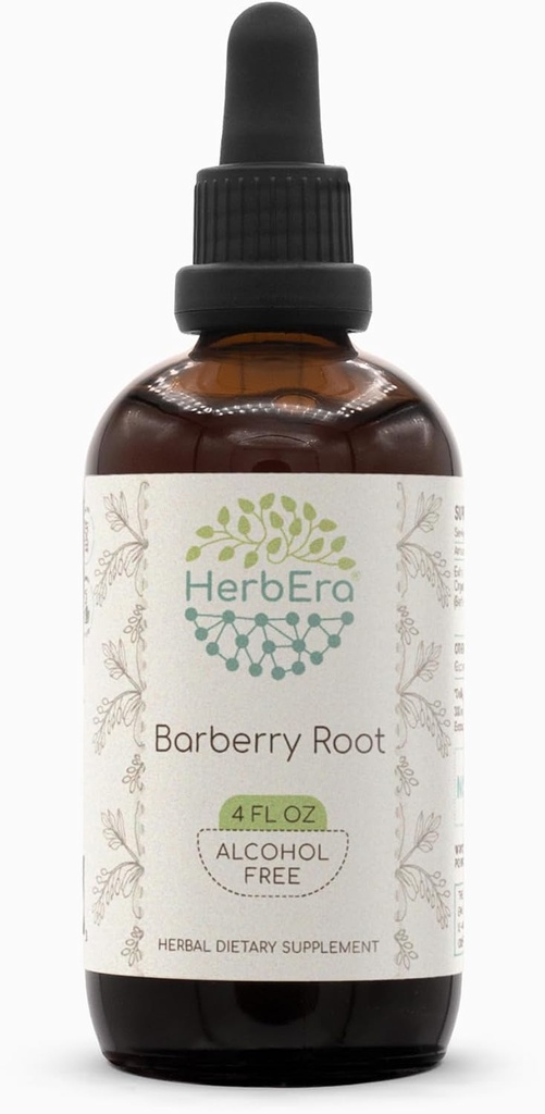 Barberry Root B120 Alcohol-Free Herbal Extract Tincture, Concentrated Liquid Drops Natural Barberry (Berberis Vulgaris) (4 fl oz)