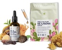 Brain & Body Raw Bundle - Organic Sea Moss for Seamoss Gel & Smart Shrooms Liquid Drops in Chocolate Flavor - Irish Sea Moss & Mushroom Complex, Nootropic Brain Supplements for Memory & Focus