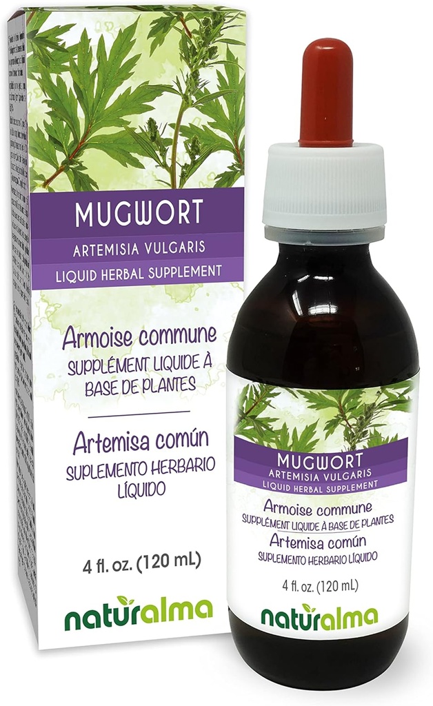 Naturalma Mugwort (Artemisia vulgaris) herb with Flowers Alcohol-Free Tincture - 4 fl oz Liquid Extract in Drops - Herbal Supplement - Vegan