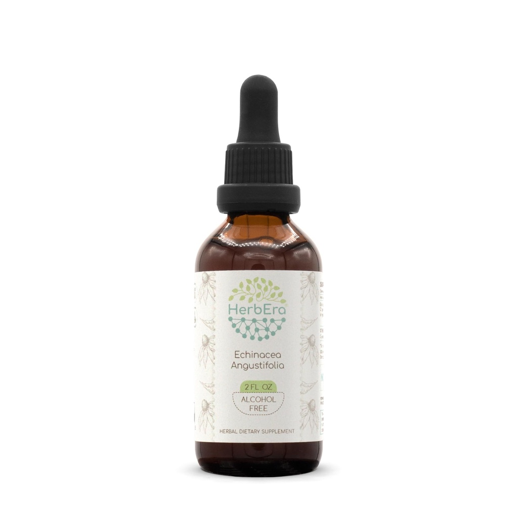 Echinacea Angustifolia B60 Alcohol-Free Herbal Extract Tincture, Super-Concentrated Responsibly farmed Echinacea spp. 2 fl oz