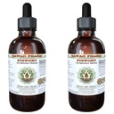 Hawaii Pharm Figwort Alcohol-Free Liquid Extract, Figwort (Scrophulara Nodosa) Dried Herb Glycerite Natural Herbal Supplement 2x4 oz