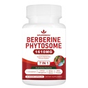 7-in-1 Berberine Phytosome with Ceylon Cinnamon, Berberine Complex Supports Metabolic, Liver Function & Immune System, Non-GMO,Gluten-Free - 60 Capsules