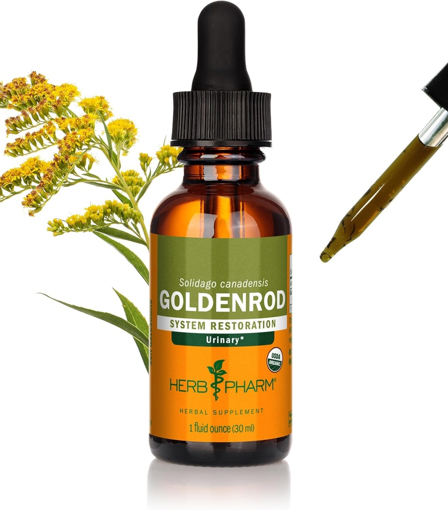 Herb Pharm Certified Organic Goldenrod Liquid Extract for Urinary System Support, 1 Fl Oz (Pack of 1)