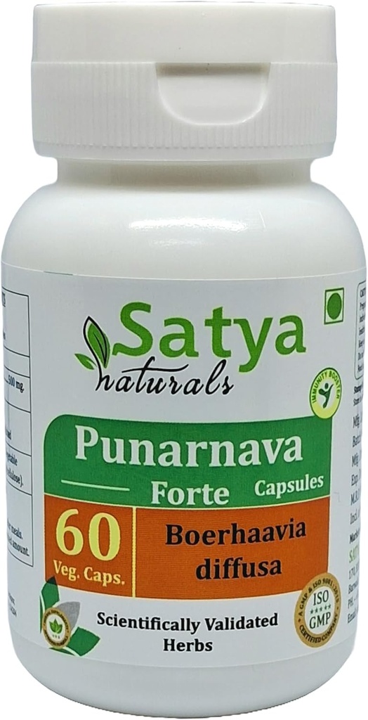 Punarnava Forte Capsule 500 mg. 60 Veg. Capsule | Punarnava (Boerhaavia Diffusa) Extract Capsules for Men and women | Ayurvedic Herbal Supplement/Remedies | 10:1 Forte (1 Bottle of 60 Capsules)