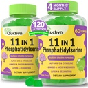 (2 Packs) Phosphatidylserine Gummies, Brain Supplement for Memory, Focus and Concentration - Phosphatidylserine Memory Supplement with Alpha GPC, B6 & B12 for Brain and Cognitive, 120 Gummies