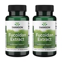 Swanson Maximum Strength Fucoidan Extract Immune Support Supplement for Adults Seeking Natural Immune Defense from Brown Seaweed - 500 mg (60 Vegan Capsules, 2 Pack)