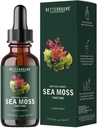 Betterbrand Sea Moss Drops Liquid Supplement with Irish Sea Moss Bladderwrack Burdock Root for Lung Health Digestive Joint Thyroid Support Seamoss Drops 30 Day Supply