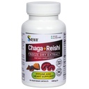 Chaga and Natural Reishi Mushroom Capsules 90 Count, 440mg Extract | Siberian, grows on birch, wild-harvested antioxidant blend for immune and energy, vegan, non-GMO, gluten-free, no fillers