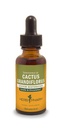 Herb Pharm Cactus Grandiflorus Liquid Herbal Extract: for The Cardiovascular System & Circulatory Function Support, Non-GMO, Gluten-Free, Vegan, Up to ~3 Week Supply, 1 oz*