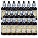 Arrowroot (Maranta Arundinacea) Tincture, Dried Root Liquid Extract (Brand Name: HerbalTerra) 20x4 fl.oz (20x120 ml)