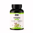 Astragalus Root Extract 500mg