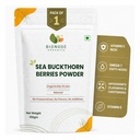 Sea Buckthorn Berries | Dry Seabuckthorn Berries powder | Rich in Omega 3,6,7,9 | Fibers, Omegas, Collagen, Vitamic C, Vitamin E | Dry Sea Buckthorn (Sea Buckthron Powder 100gm)