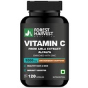 Nutrition Natural Vitamin C from Amla & Alfalfa, Enriched with Zinc – Immune & Skin Support | 120 Veg Capsules | WHO-GMP, HACCP, ISO & FSSAI Certified