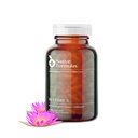 Native Formulas Restore 3 Proteolytic Enzyme & Spore Probiotic Blend Supplement - 60 Capsules - Advanced Biofilm Disruption Aid - Support GI Health, Fibromyalgia, Gut Flora, Muscle