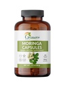 Organic Moringa Capsules – 120 Count | Pure Moringa Oleifera Leaf Powder Pills | Natural Superfood Supplement | Herbal Energy & Antioxidant Support | Vegan, Non-GMO, Single Origin Malunggay