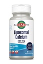 KAL Liposomal Calcium 500 mg, High Absorption Calcium Supplement, Essential Calcium Support, Vegan, Gluten Free, No Soy, 30 Servings, 90 VegCaps
