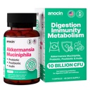 anocin Akkermansia Muciniphila + Probiotic, Postbiotic & Inulin - Gut Health Supplement for Digestion, Immune Support - 10 Billion CFU, Vegan & Gluten-Free