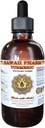 Turmeric (Curcuma Longa) Liquid Extract 2 fl.oz
